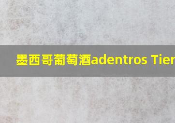 墨西哥葡萄酒adentros Tierra